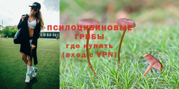 индика Магадан