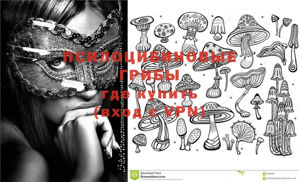 PSILOCYBIN Абаза